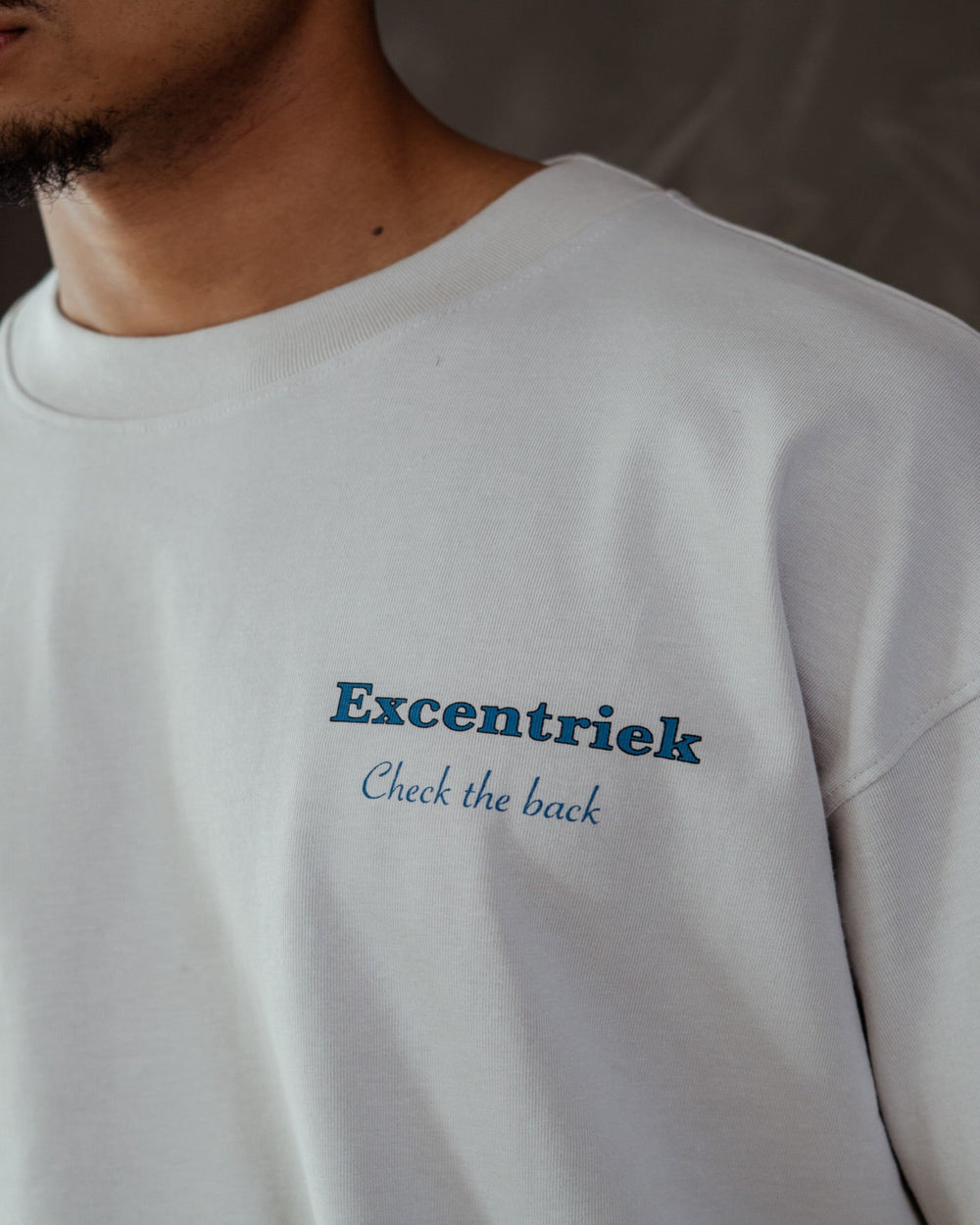 Check The Back T-Shirt Light Grey